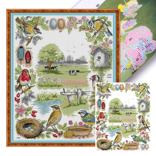 Bird Ecology - 14CT Stamped Cross Stitch 48*58CM(Joy Sunday)