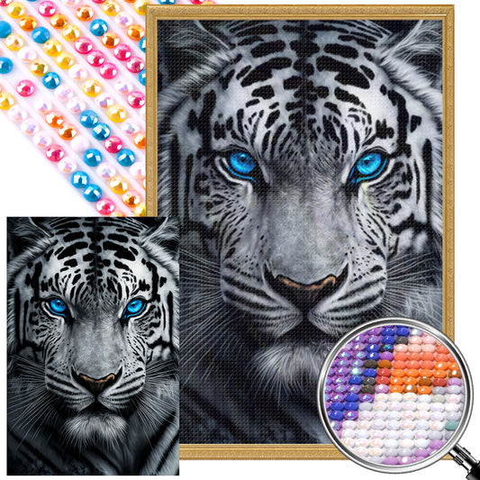 White Tiger With Blue Eyes - Full AB Round Drill Diamond Painting 40*60CM