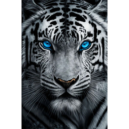 White Tiger With Blue Eyes - Full AB Round Drill Diamond Painting 40*60CM