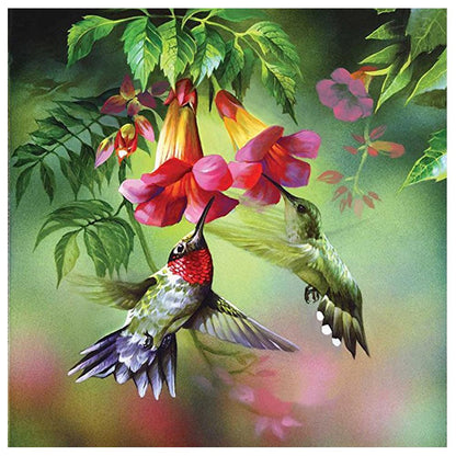 Birds Animal - Full Round Drill Diamond Painting 30*30CM