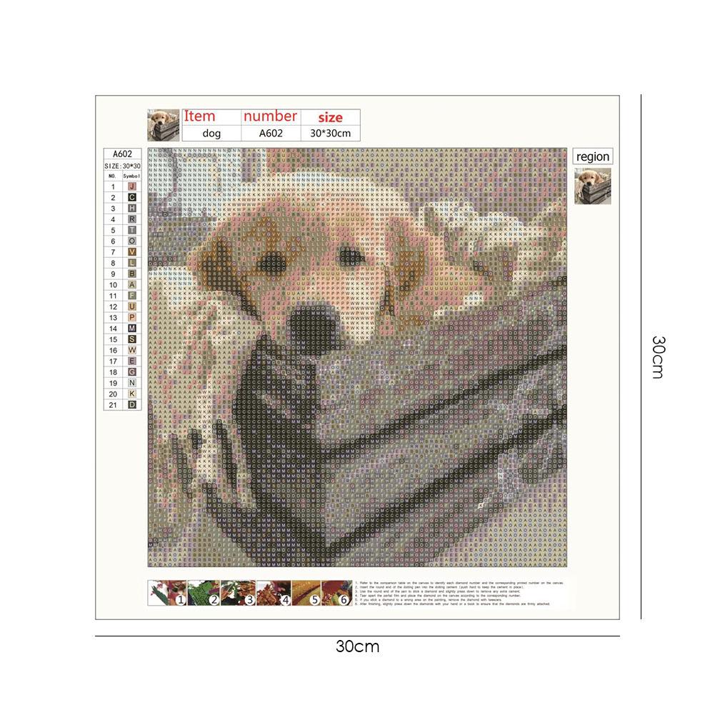 Dog - Full Round Drill Diamond Painting 30*30CM