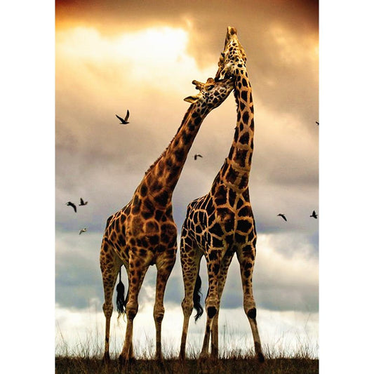 Giraffe - Full Round Drill Diamond Painting 30*40CM