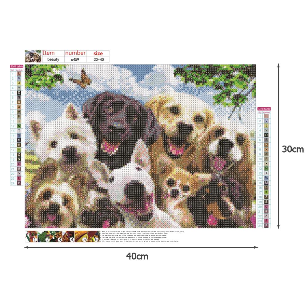 Animals - Full Round Drill Diamond Painting 40*30CM