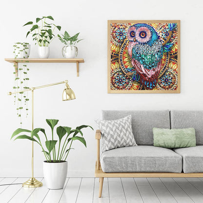 Owl - Special Shaped Drill Diamond Painting 30*30CM