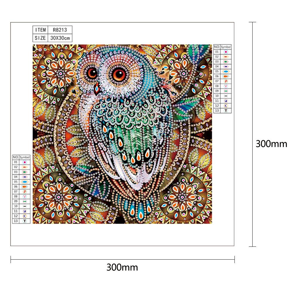 Owl - Special Shaped Drill Diamond Painting 30*30CM