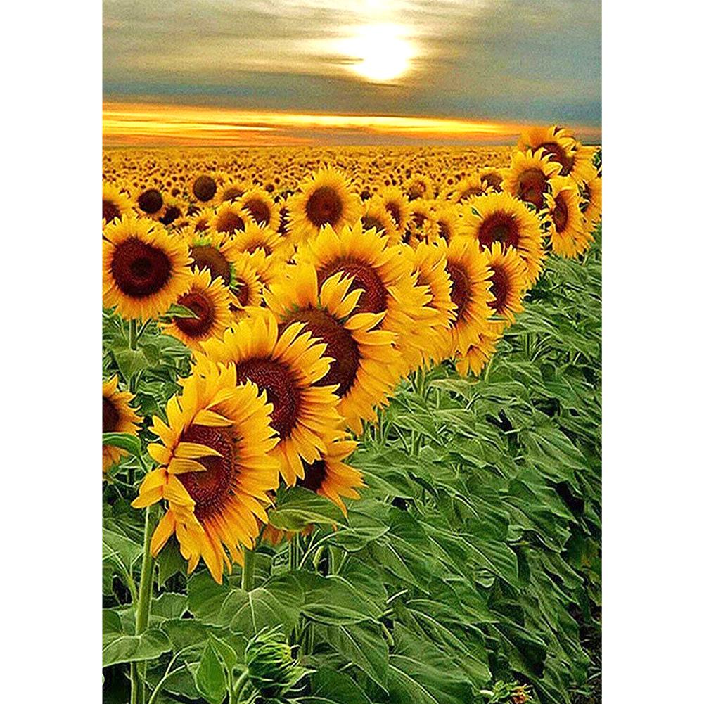 Sunflower - Full Round Drill Diamond Painting 30*40CM