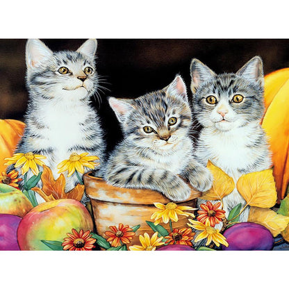 Cat - Full Round Drill Diamond Painting 40*30CM