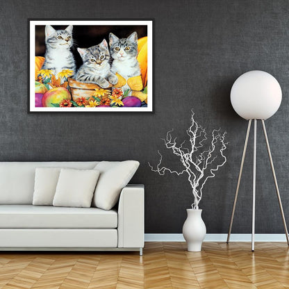 Cat - Full Round Drill Diamond Painting 40*30CM