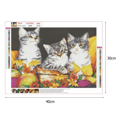 Cat - Full Round Drill Diamond Painting 40*30CM