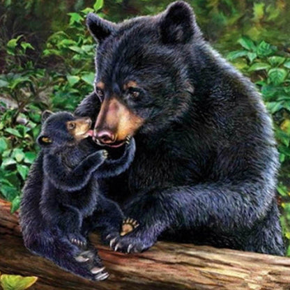 Black Bear - Full Round Drill Diamond Painting 30*30CM