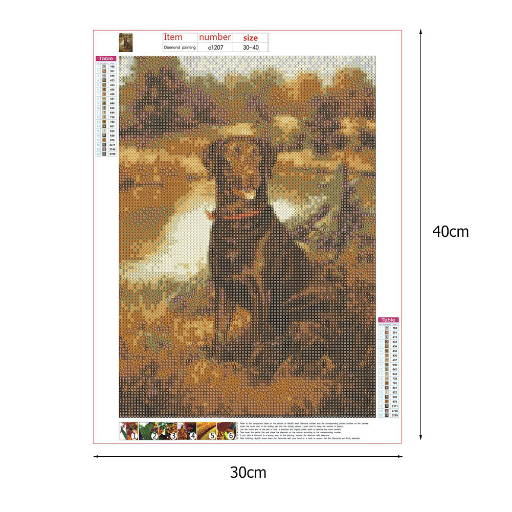 Dog - Full Round Drill Diamond Painting 30*40CM