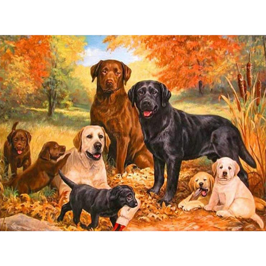 Dog Sets - Full Round Drill Diamond Painting 40*30CM