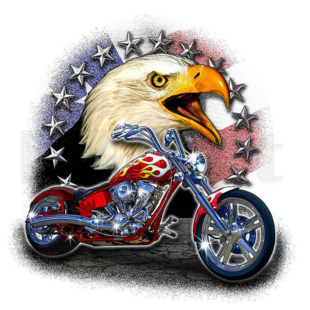 Motorcycle Eagle - Special Shaped Drill Diamond Painting 30*30CM