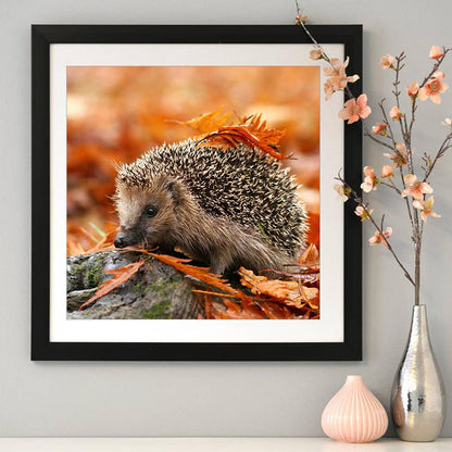 Autumn Hedgehog - Full Round Drill Diamond Painting 30*30CM