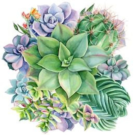 Succulent - Full Round Drill Diamond Painting 30*30CM