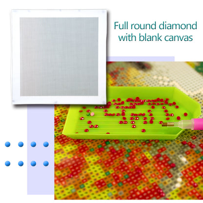 Blank Embroidery Full Round Drill Canvas DIY Diamond Painting (30x30cm)