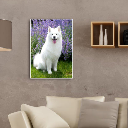 Dog - Full Round Drill Diamond Painting 30*40CM