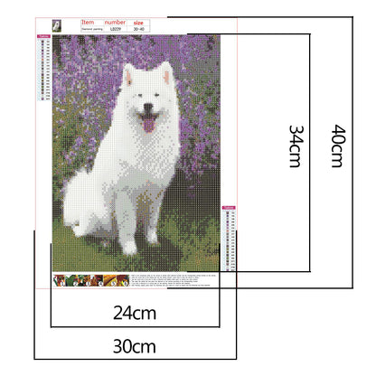 Dog - Full Round Drill Diamond Painting 30*40CM