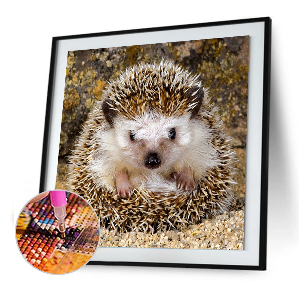 Hedgehog - Full Round Drill Diamond Painting 30*30CM