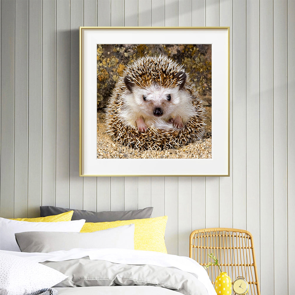 Hedgehog - Full Round Drill Diamond Painting 30*30CM