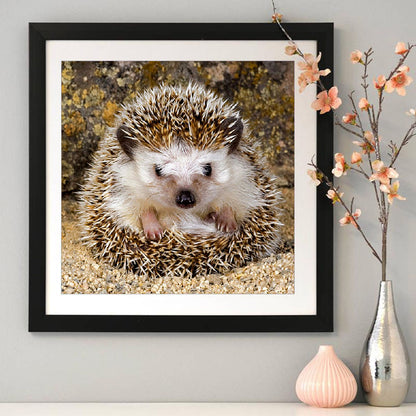 Hedgehog - Full Round Drill Diamond Painting 30*30CM