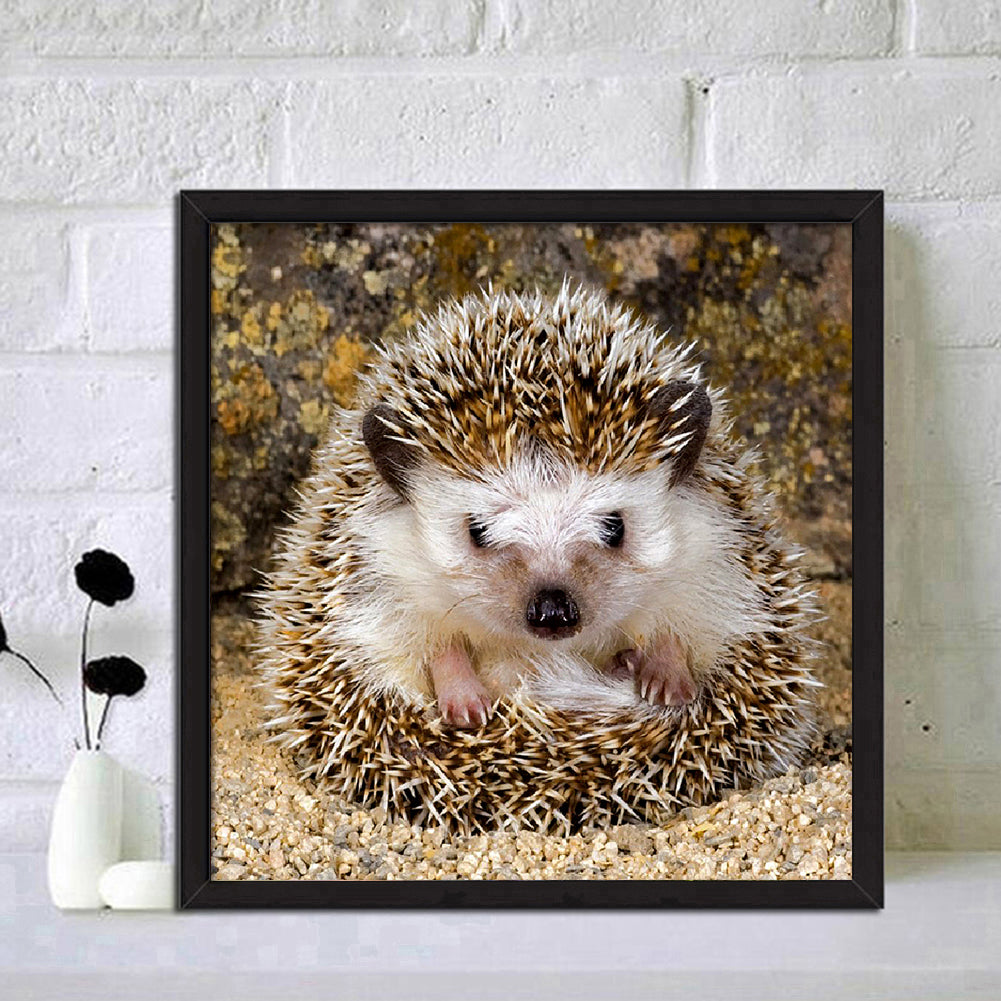 Hedgehog - Full Round Drill Diamond Painting 30*30CM