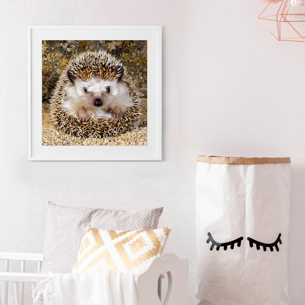 Hedgehog - Full Round Drill Diamond Painting 30*30CM