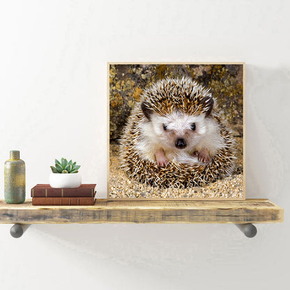 Hedgehog - Full Round Drill Diamond Painting 30*30CM