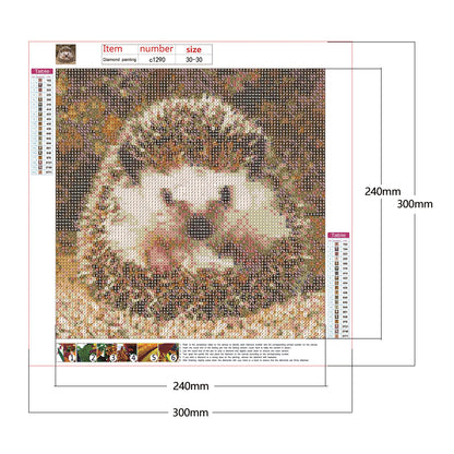 Hedgehog - Full Round Drill Diamond Painting 30*30CM