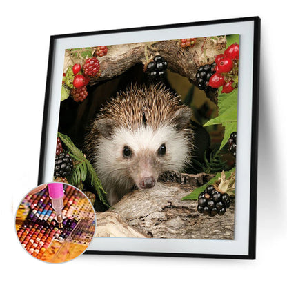 Animal Hedgehog - Full Round Drill Diamond Painting 30*30CM