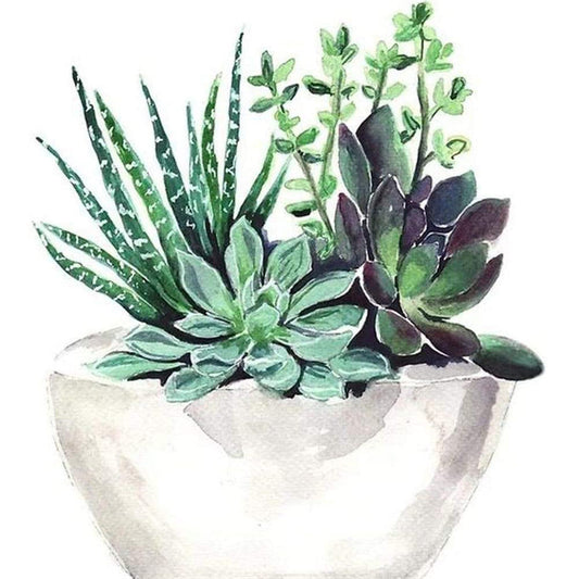 Succulent Plant - Full Round Drill Diamond Painting 30*30CM