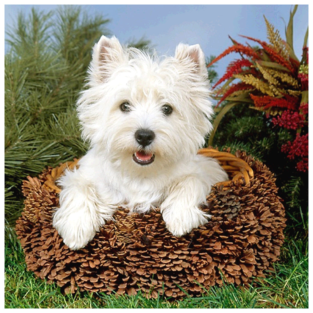 Dog Animal - Full Round Drill Diamond Painting 30*30CM