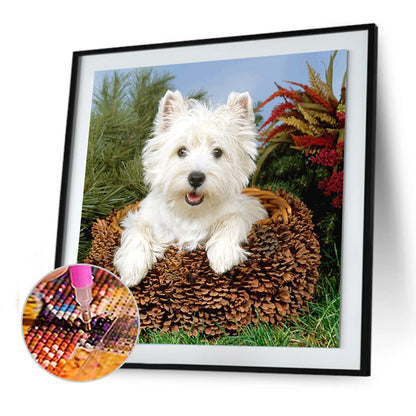 Dog Animal - Full Round Drill Diamond Painting 30*30CM