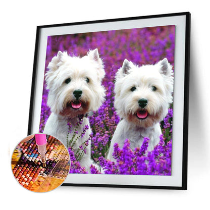 Dog Animal - Full Round Drill Diamond Painting 30*30CM