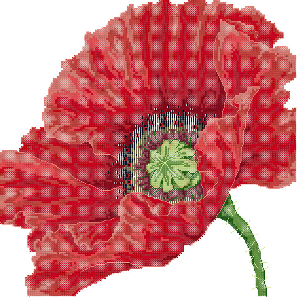 Poppy - 14CT Stamped Cross Stitch 33*33CM