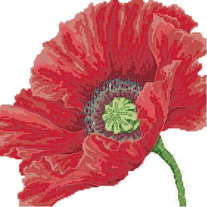 Poppy - 14CT Stamped Cross Stitch 33*33CM