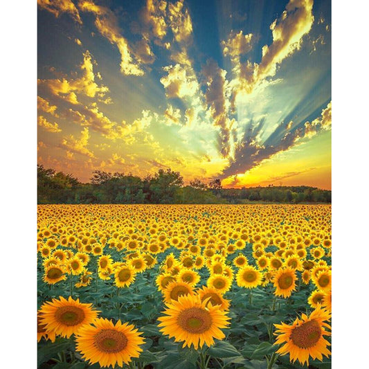 Sunflower - Full Round Drill Diamond Painting 30*40CM