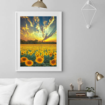 Sunflower - Full Round Drill Diamond Painting 30*40CM