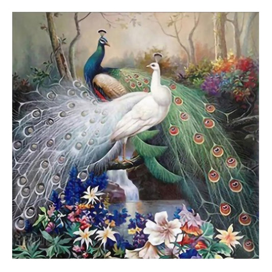 Peafowl - 11CT Stamped Cross Stitch 46*46CM