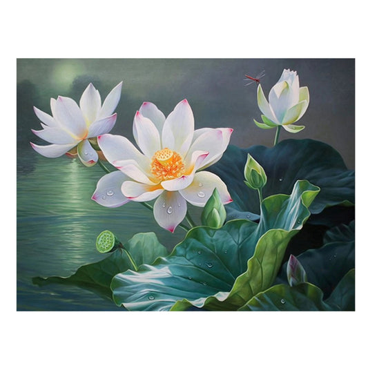 Lotus Flower - 11CT Stamped Cross Stitch 50*40CM