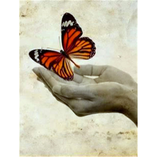 Hand Butterfly - Full Square Drill Diamond Painting 40*50CM