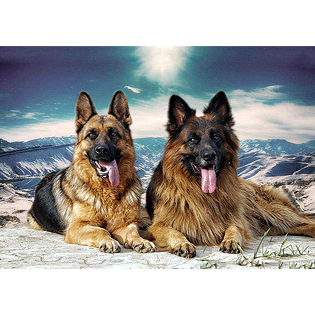 Snowfield Dog - Full Square Drill Diamond Painting 40*30CM