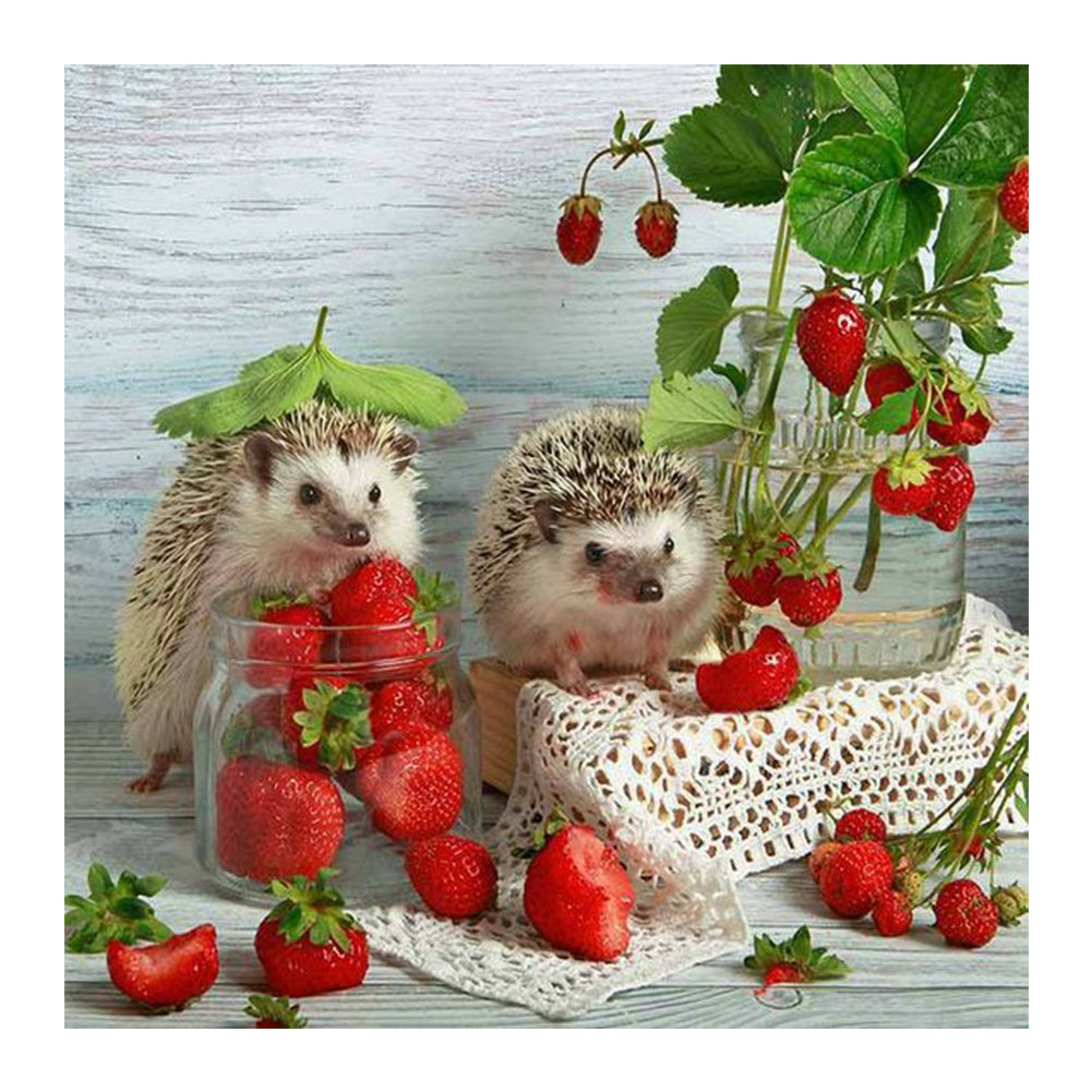 Fruit Hedgehog - Full Round Drill Diamond Painting 30*30CM