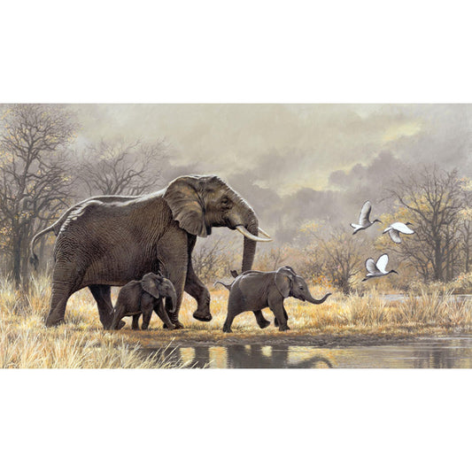 Elephant - Full Square Drill Diamond Painting 40*50CM