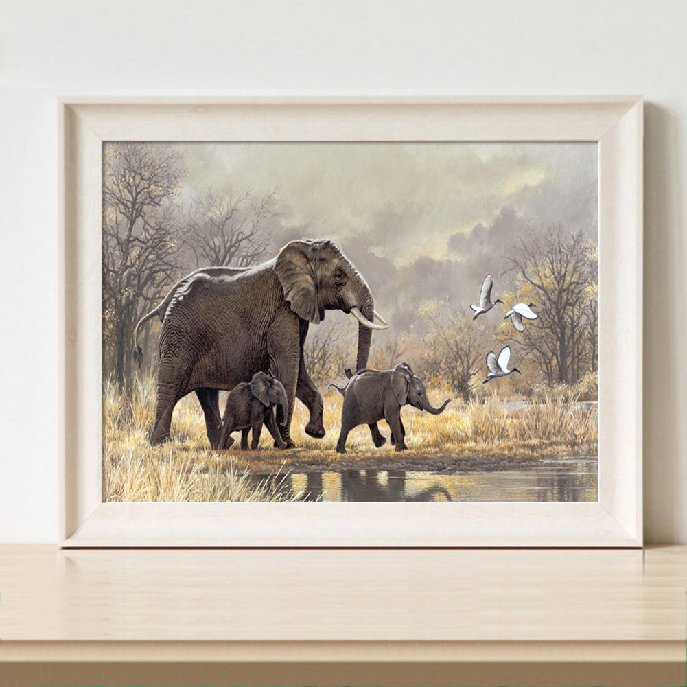 Elephant - Full Square Drill Diamond Painting 40*50CM