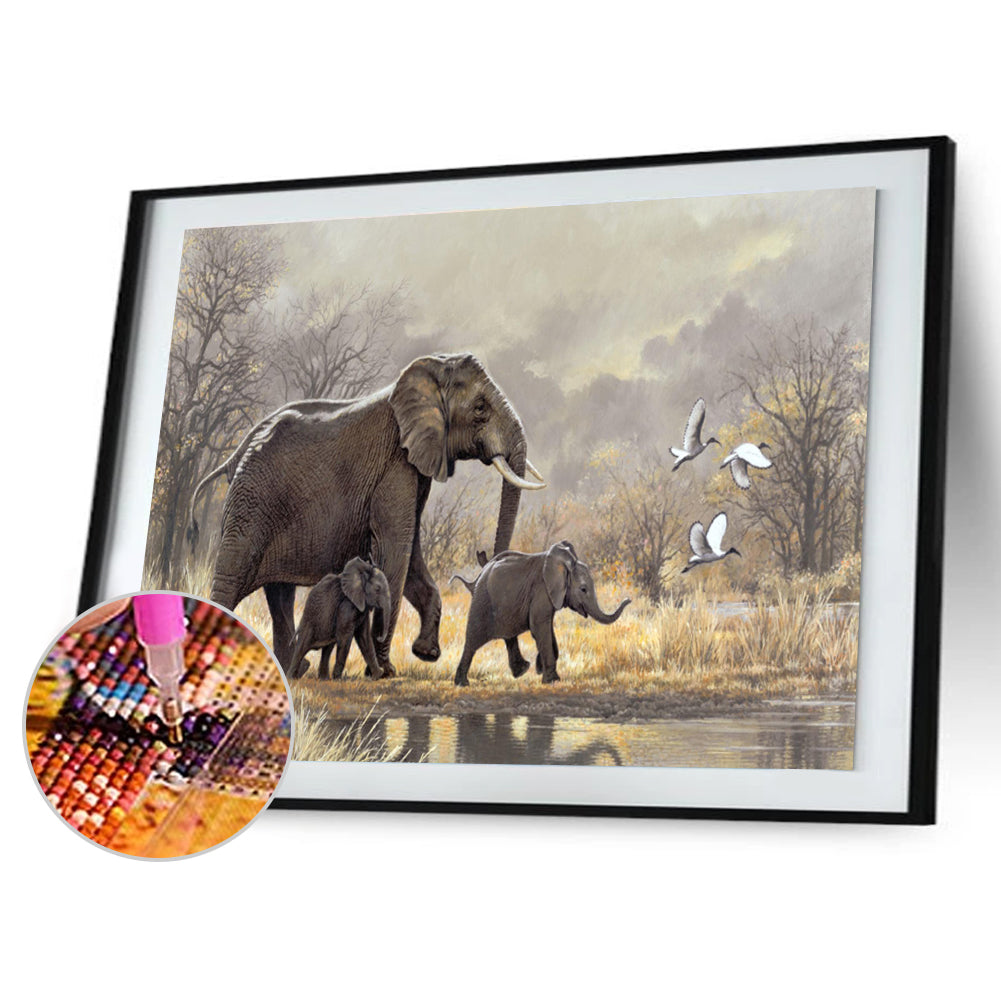 Elephant - Full Square Drill Diamond Painting 40*50CM