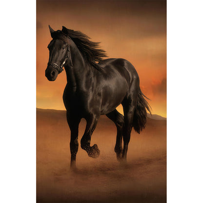 Horse - Full Round Drill Diamond Painting 45*70CM