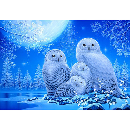 Owl - Full Round Drill Diamond Painting 40*30CM