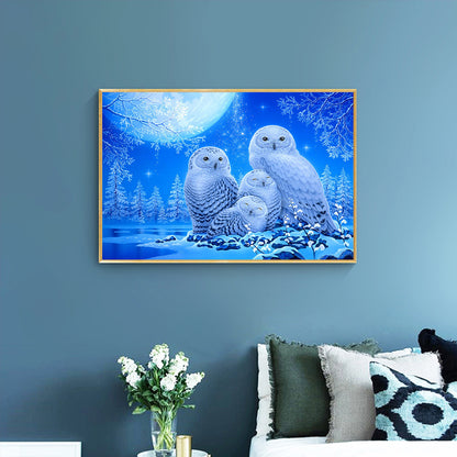 Owl - Full Round Drill Diamond Painting 40*30CM