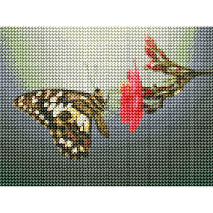 Butterfly - Full Round Drill Diamond Painting 30*40CM